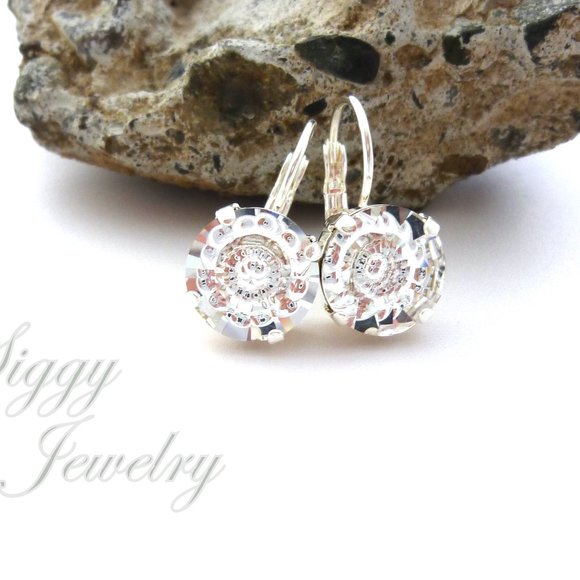 Swarovski Crystal Vision Drop Earrings, 12mm - Picture 4 of 4